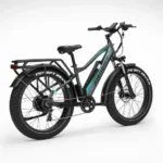 Vélo électrique Jobobike Robin vue latérale
